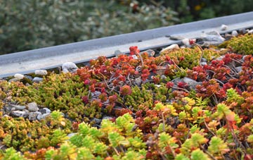 the cost of Rescassa green roof installation