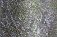 Rescassa fibreglass roof work